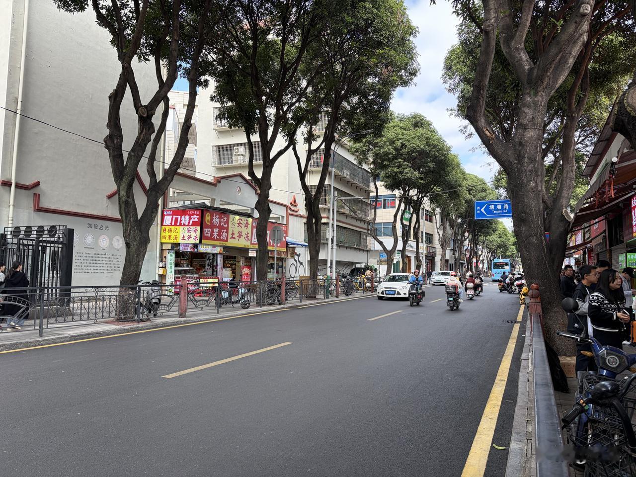 厦门这个城市真的太干净了，逛了几天，我甚至没看到一片垃圾，所有的街道都一尘不染，