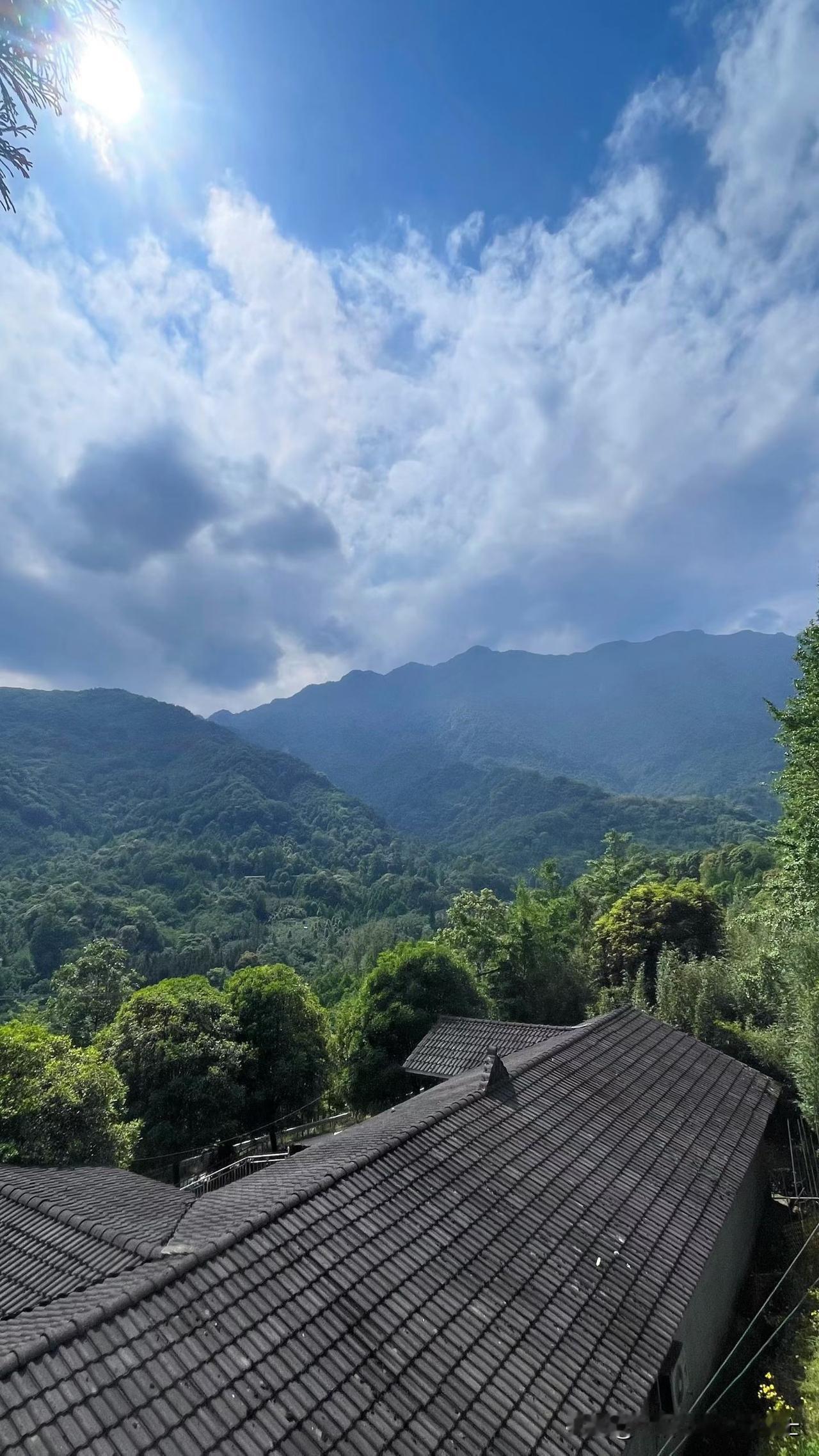 不知道为什么，我经常做梦都会梦到蛇。昨晚又梦见蛇了，地点在老家。奇怪的是，不