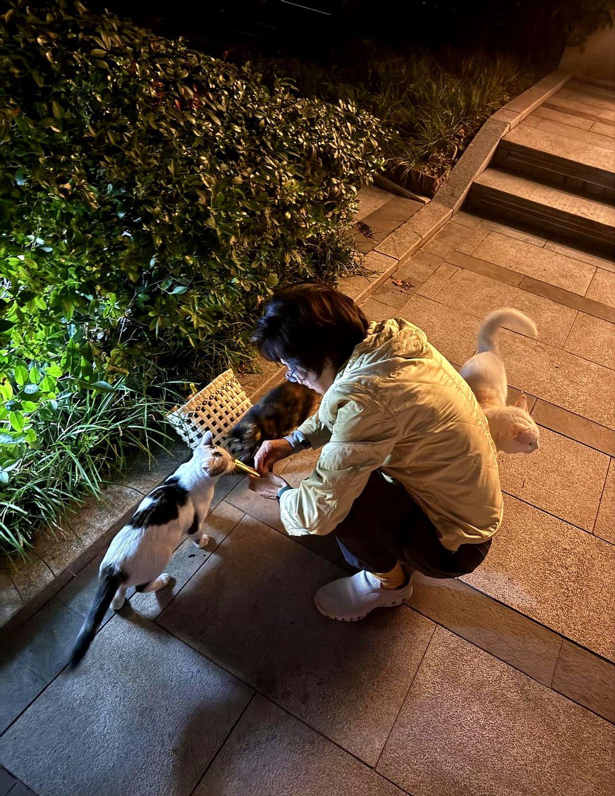 一个人，怎样美好地享受独居生活？最近我一个人在武汉，独居的生活太爽了。退休了