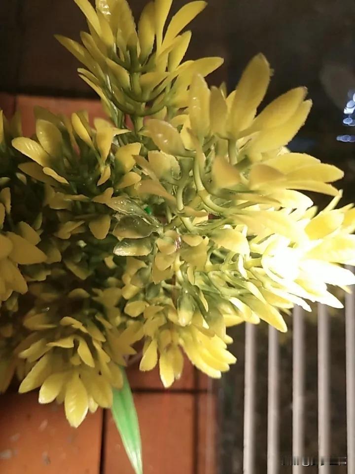 茅台12月停货背后一场