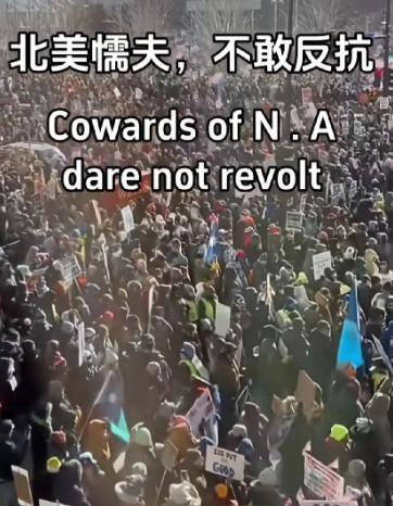 美国人到底有多怂？美国人为什么会被称为“北美懦夫”？因为他们是真的怂，七十多种性