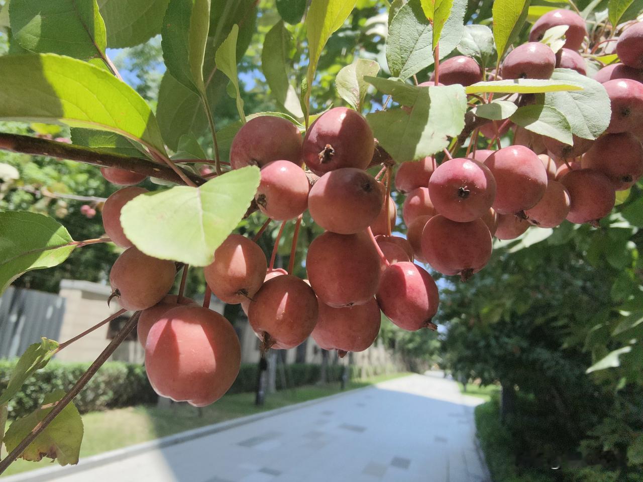一、高考更容易了，尽管人数多了，但是，录取的人也更多，有公办院校，还有民办院校，
