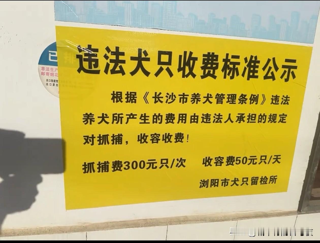 这个做法好[赞][赞]