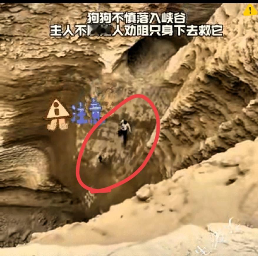 真的太暖心了！狗狗不慎掉进深峡谷，旁人都劝主人别冒险，可这位大哥二话不说，绑