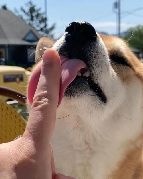 【如果你每天频繁的跟一个异性聊天】要么，聊着聊着就聊成一对。要么，聊着聊着就