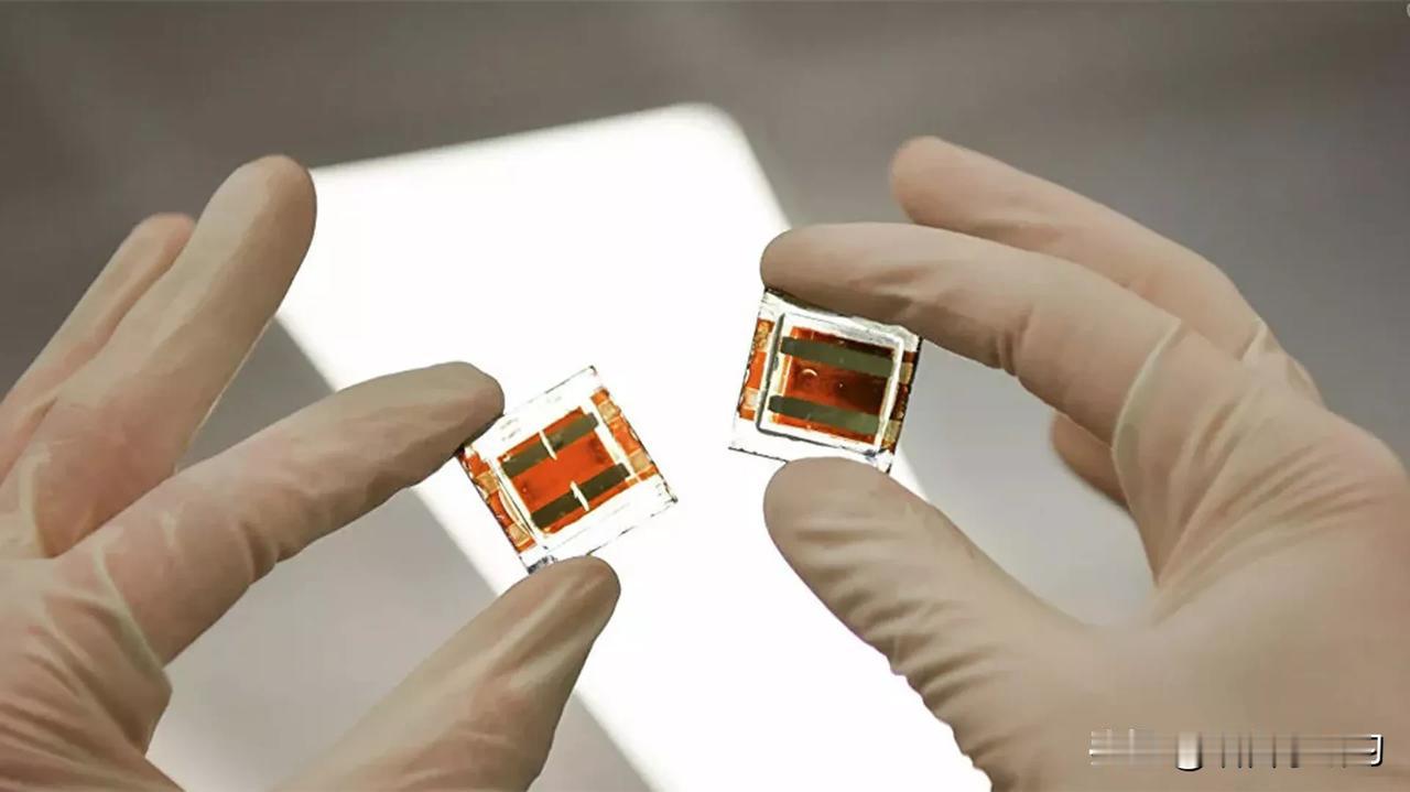 法媒：德国经济部期待安世半导体公司恢复芯片供应据法新社援引柏林德国经济部代表