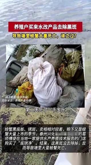 我跟你说，最让人绝望的，不是亏了多少钱。是眼睁睁看着隔壁塘的螃蟹活蹦乱跳，而自