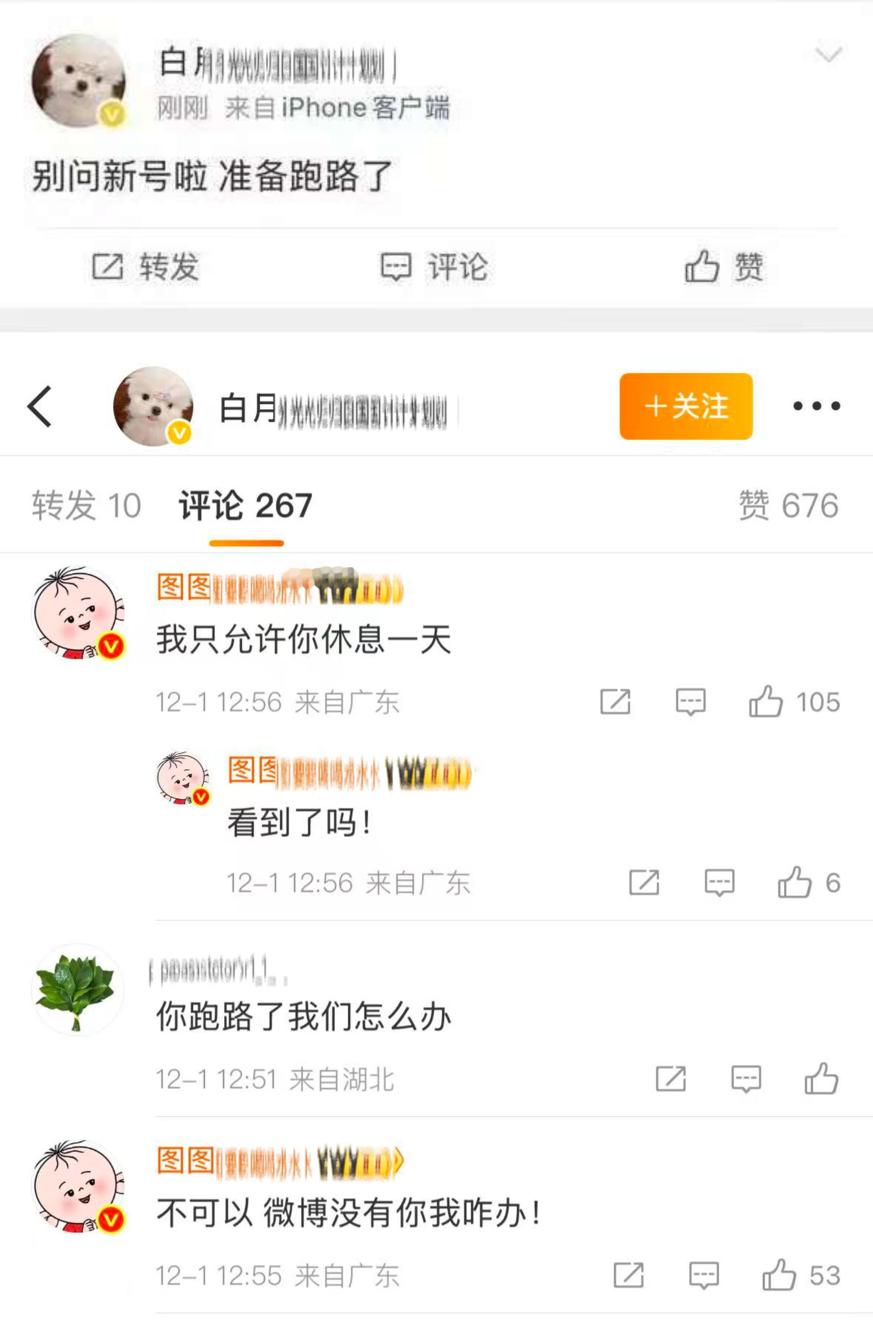 大粉跑路柚子叶挽留中