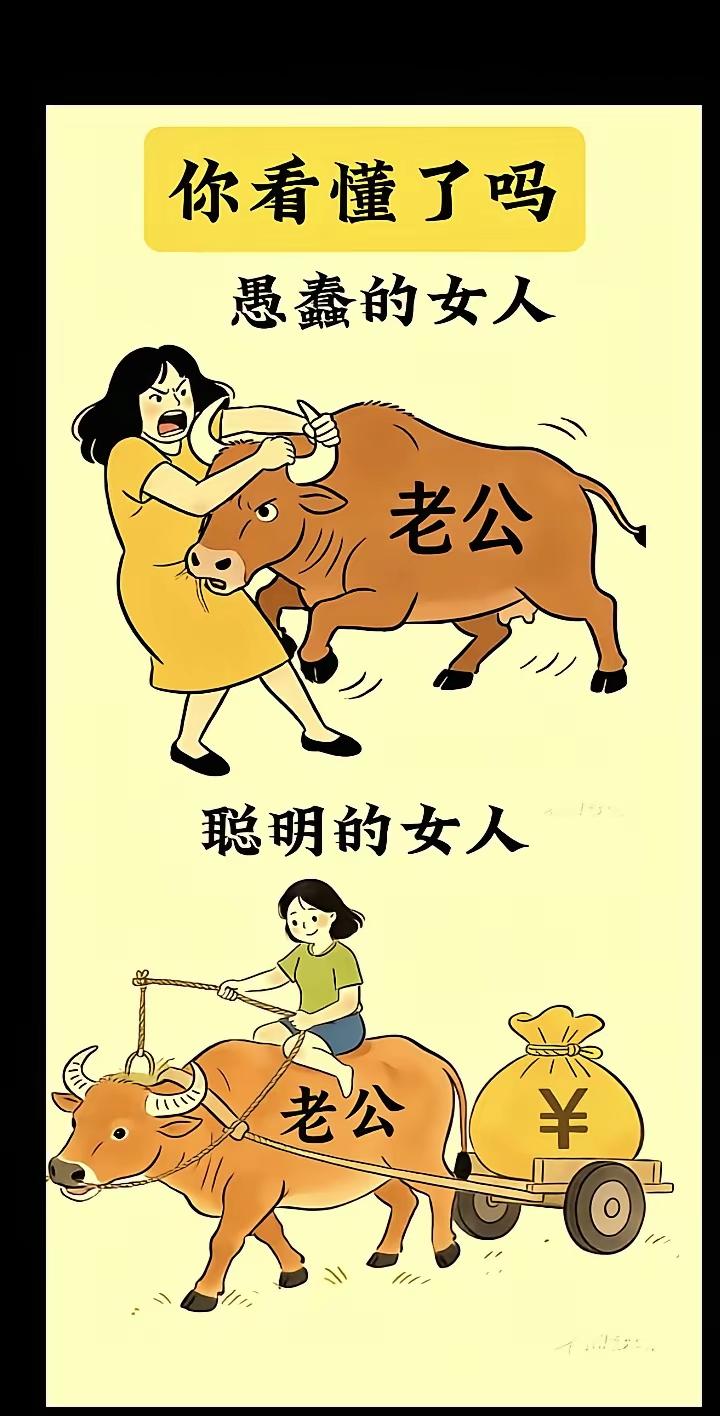 看懂了的女人，都是有智慧的女人。