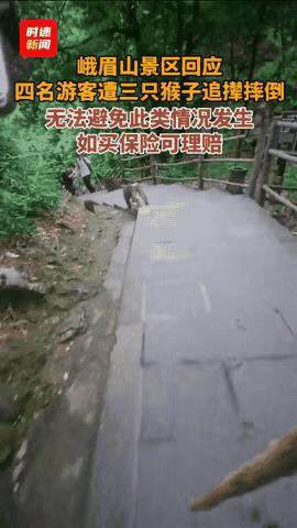 太悲催了！四川峨眉山，四个结伴而行的男游客正走着，突然三只野猴从树丛里窜出来，直