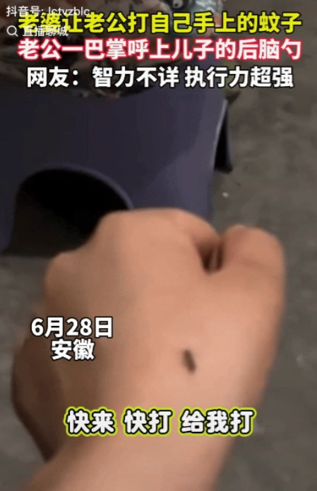 “把我笑的不行！”安徽，女子手上趴了一只蚊子，但她又嫌蚊子太脏，不想用自己的手打