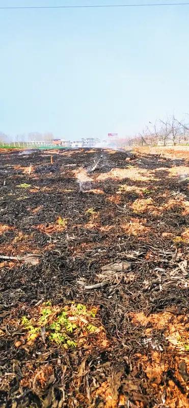 吉林这事儿真让人无语！3月17日，村民张某为清理农田，在离铁路防护网30米的耕地