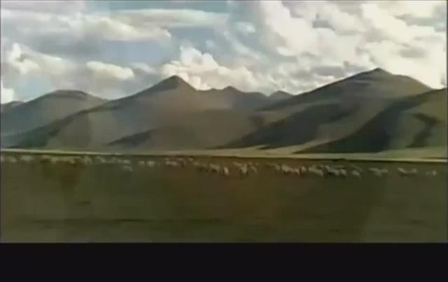 雪儿达娃简谱_走进珠穆朗玛简谱 谱友园地 中国曲谱网(2)