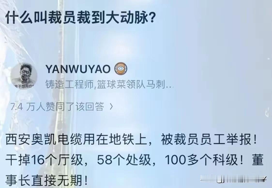这个裁员裁到大动脉的案例，让不少的用人单位在裁员的时候都会有所顾忌，或者说也间接