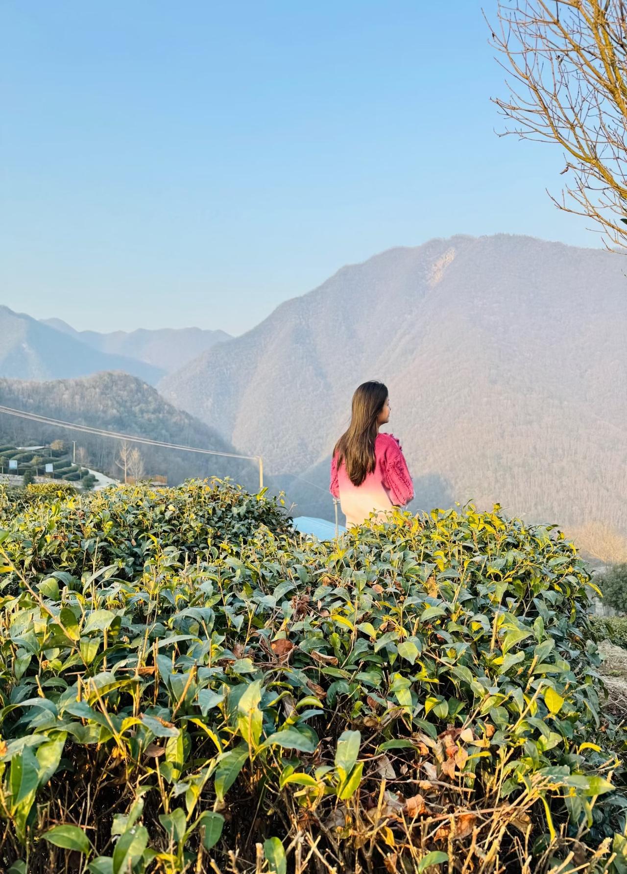 中建五局急了，我们也是央企，竞争不过你们吗？中建五局遇到了另一家中铁系，报价最