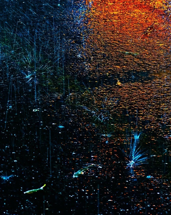 在烟火璀璨中，愿你找到属于自己的幸福。