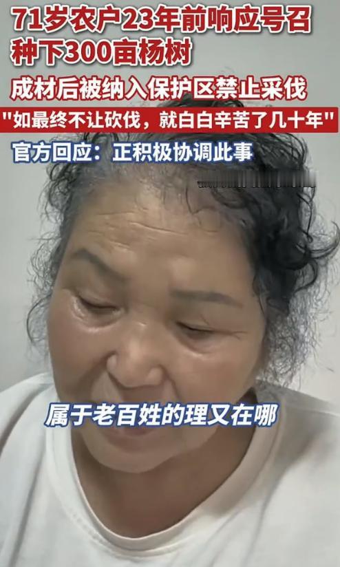 黑龙江齐齐哈尔，一71岁大妈，23年前承包了360亩地，种了3万棵