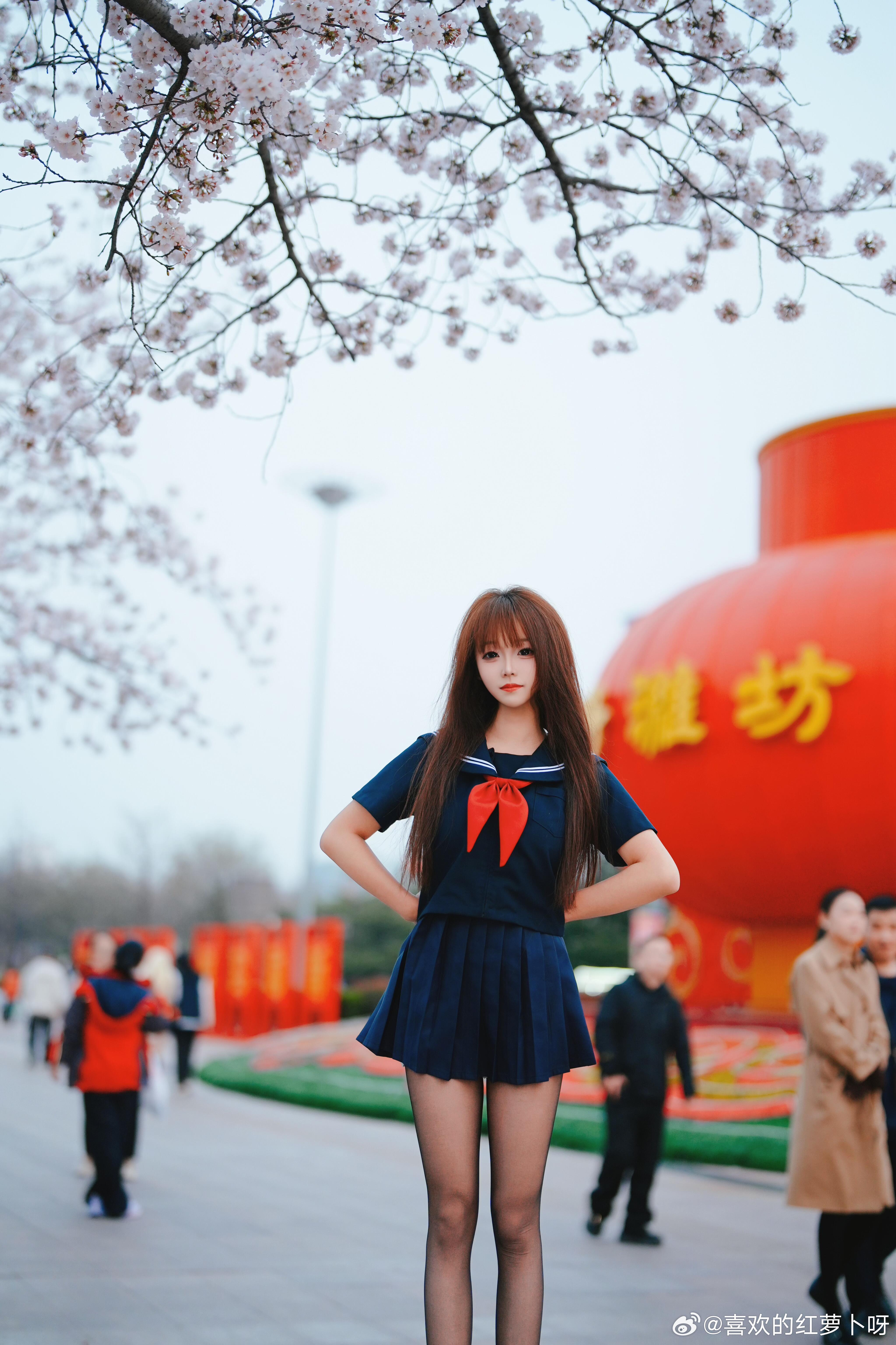 为了拍个樱花树下的jk少女，直接踩上梯子！