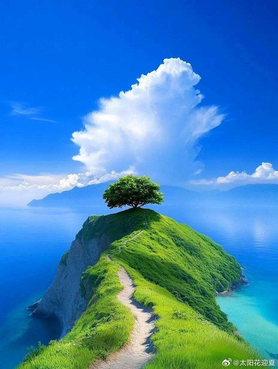 夏日浪漫，一半山海，一半人间烟火～