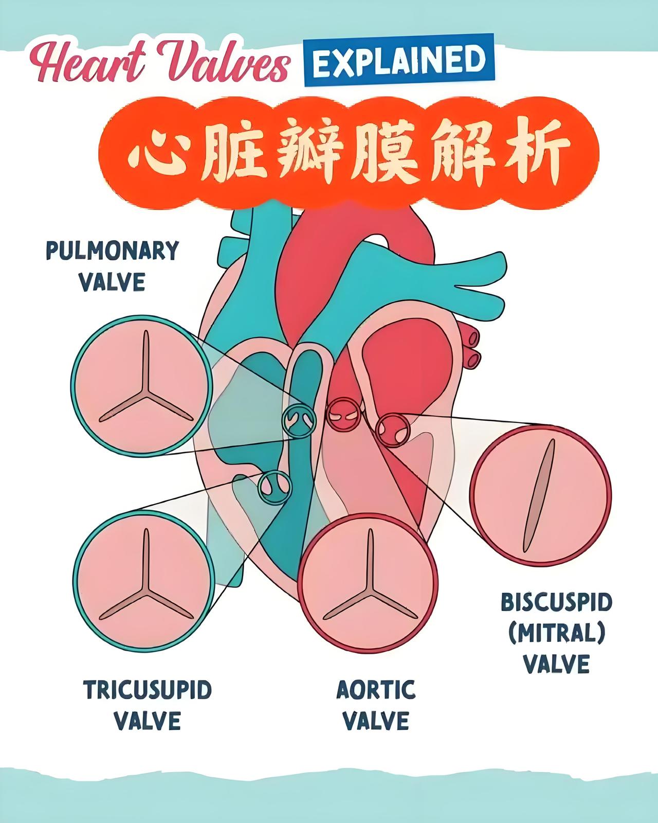 西安交大一附院“瓣膜谜团”引发关注：患者家属爆料收费乱象和医疗隐患。李女士的父亲