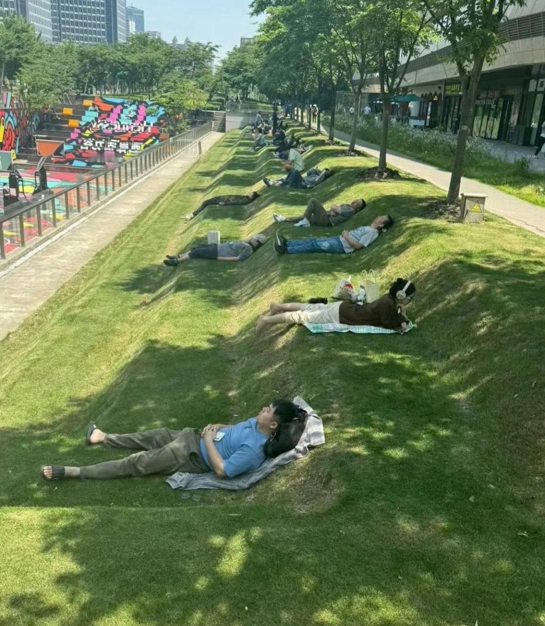 到底是哪个大聪明设计师，能想出这种反人类又反常识的神仙设计啊！别人公园的草坪，