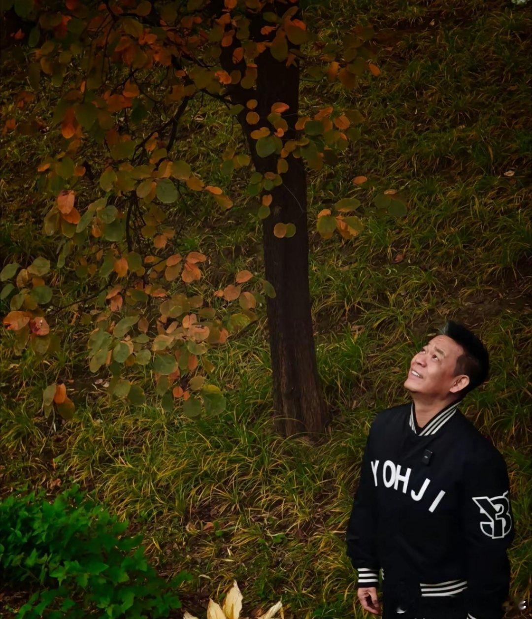 果然还是男人懂男人，我老公竟然说理解孙浩！他说了一下原因，一下点醒我了！我问老公