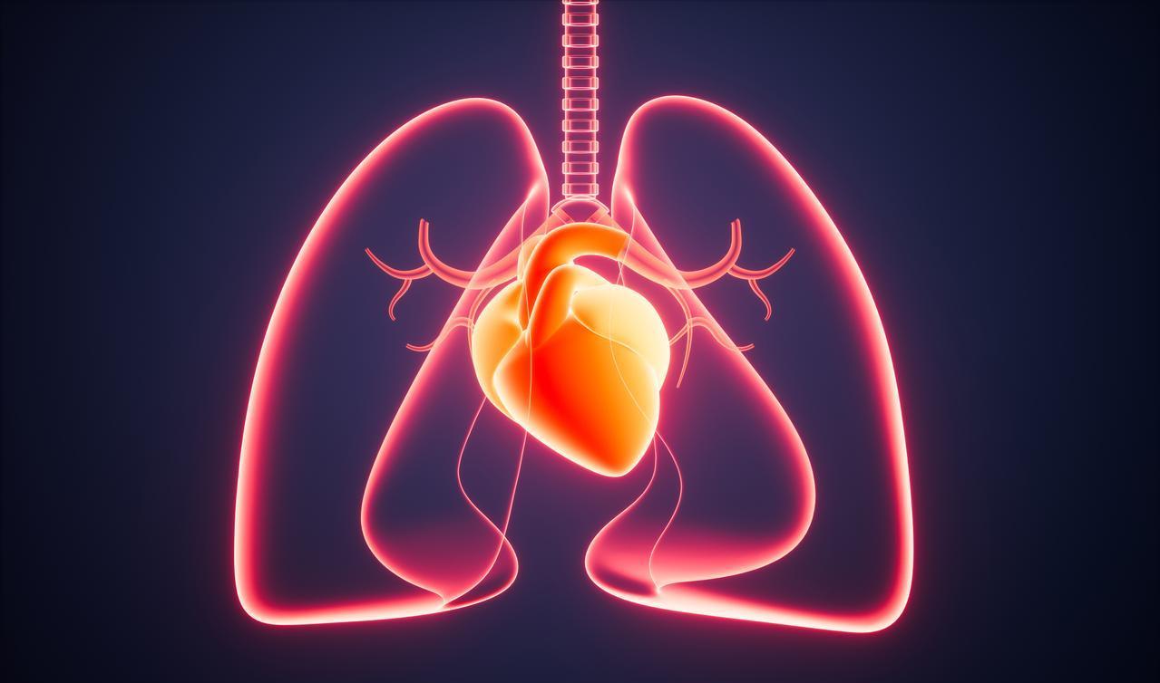 三天前一个特殊的病人来住院复查，这个病人是个老年女性，三个月之前突然晕倒，当地医