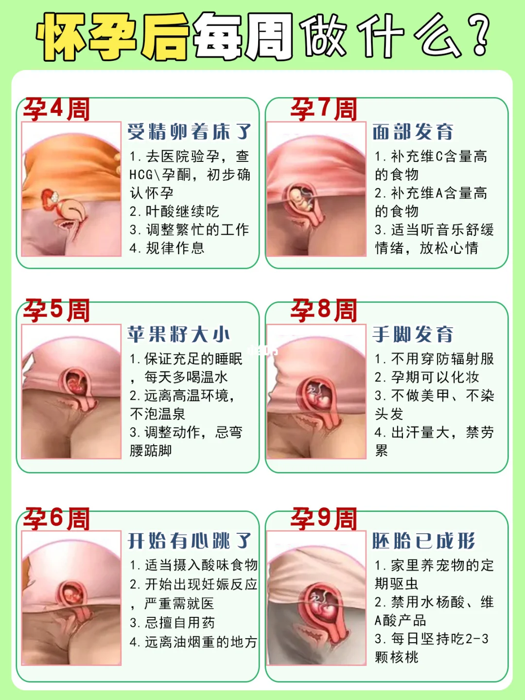 怀孕后，每周要做的事！准爸妈必看的孕期指南