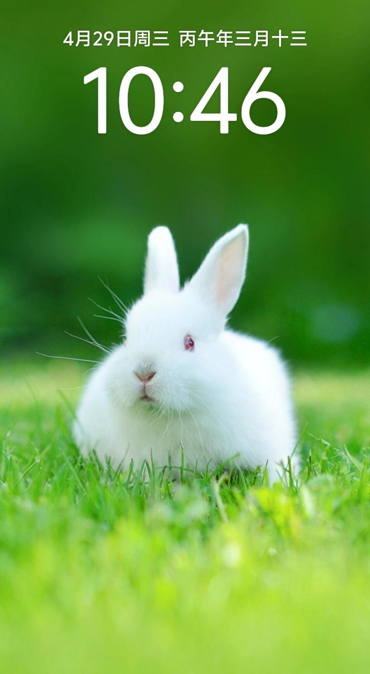 修行，到底在求什么？修行，说到底，求的不是玄乎的神通，是心里的那片静。