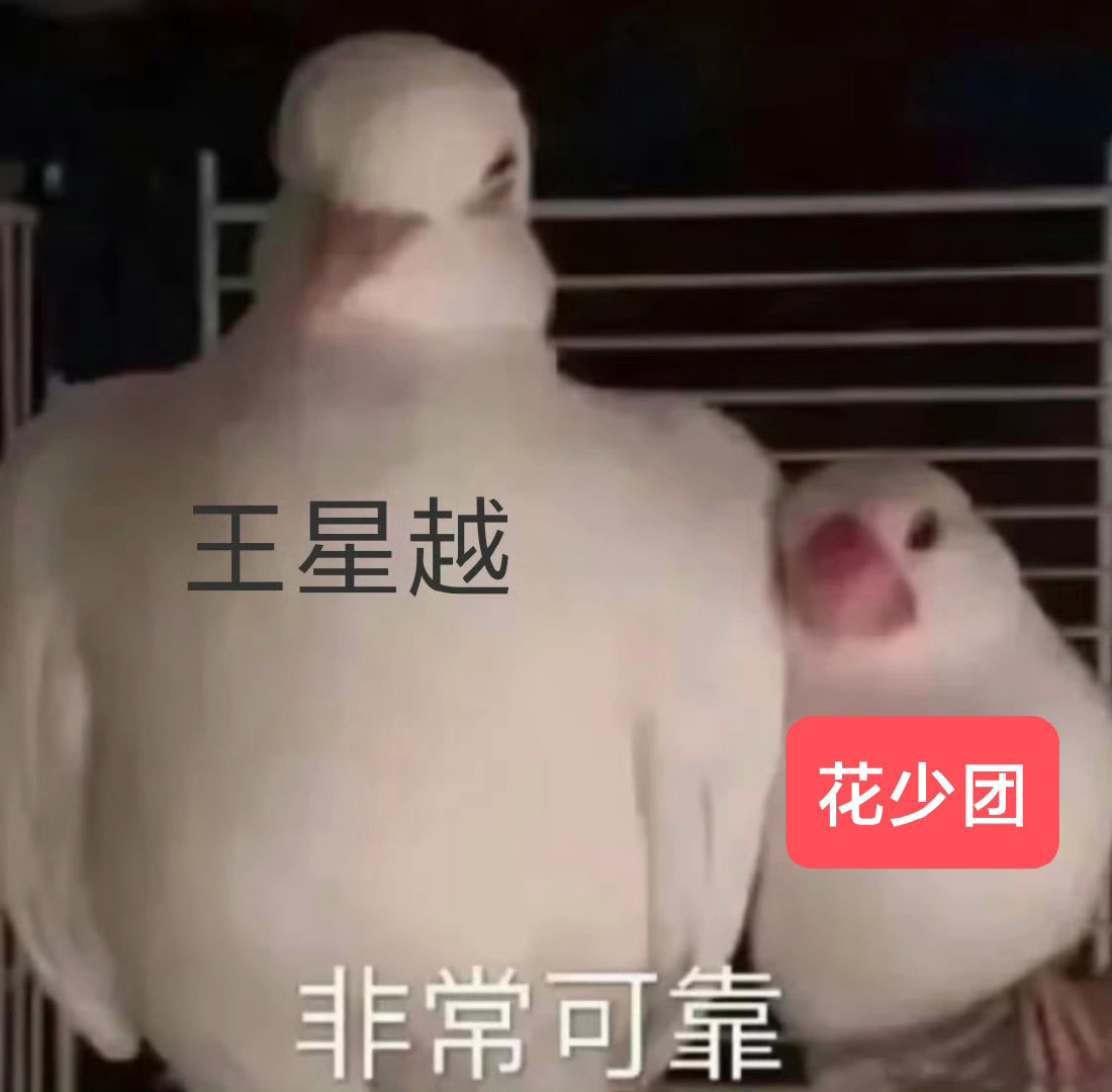 王星越你的包包到底装了多少姐姐们的东西！！！包都快比人大了​