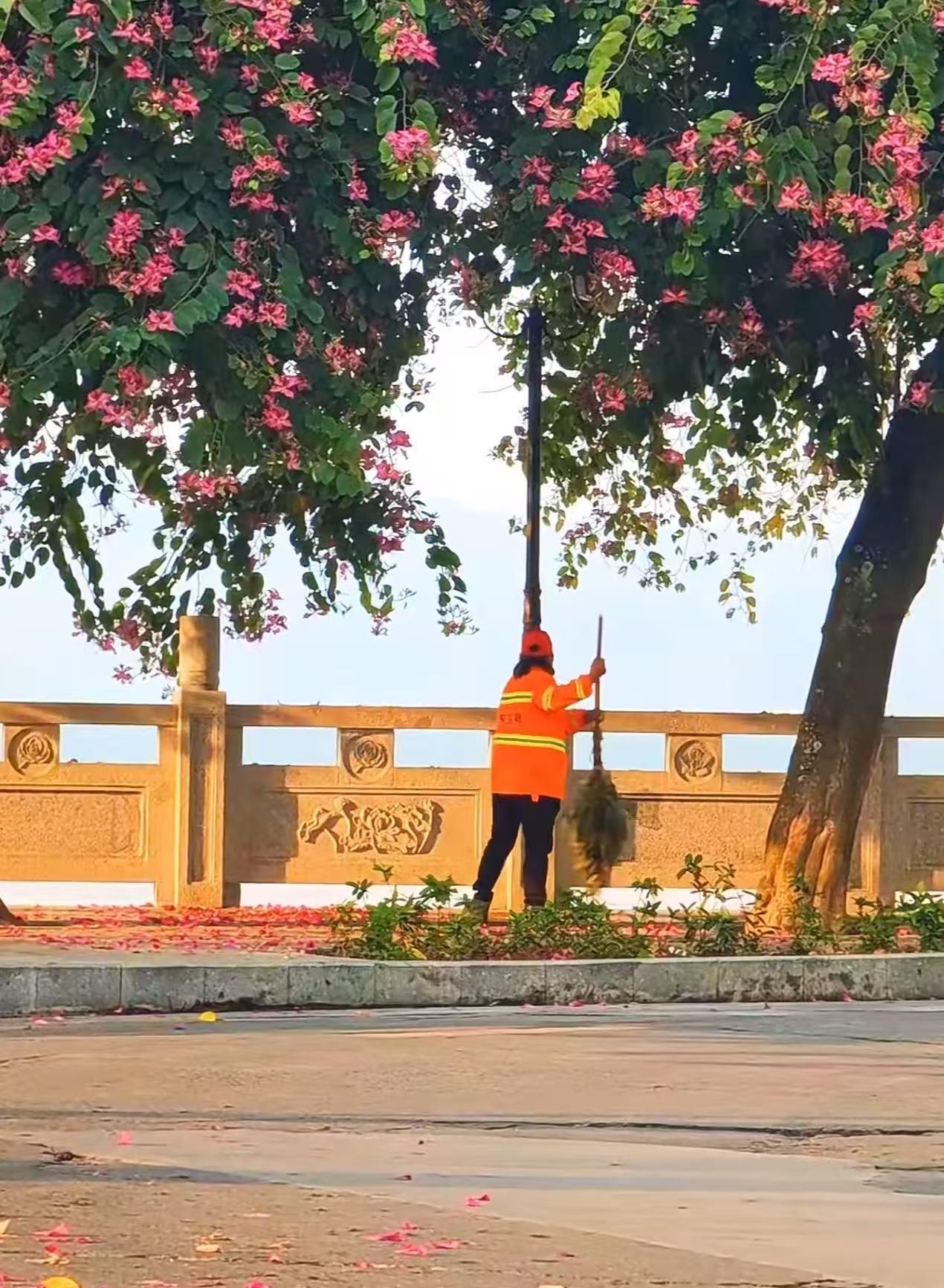 天还没亮透，山东环卫工张大姐正低头扫落叶，忽然听见树丛里传来一阵微弱又奇怪的声音