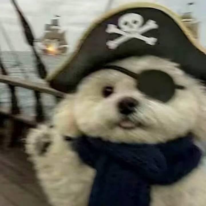 为什么少数年轻女孩开始宣传【去父留子】的生育观？为什么少数年轻女孩开始宣传【去