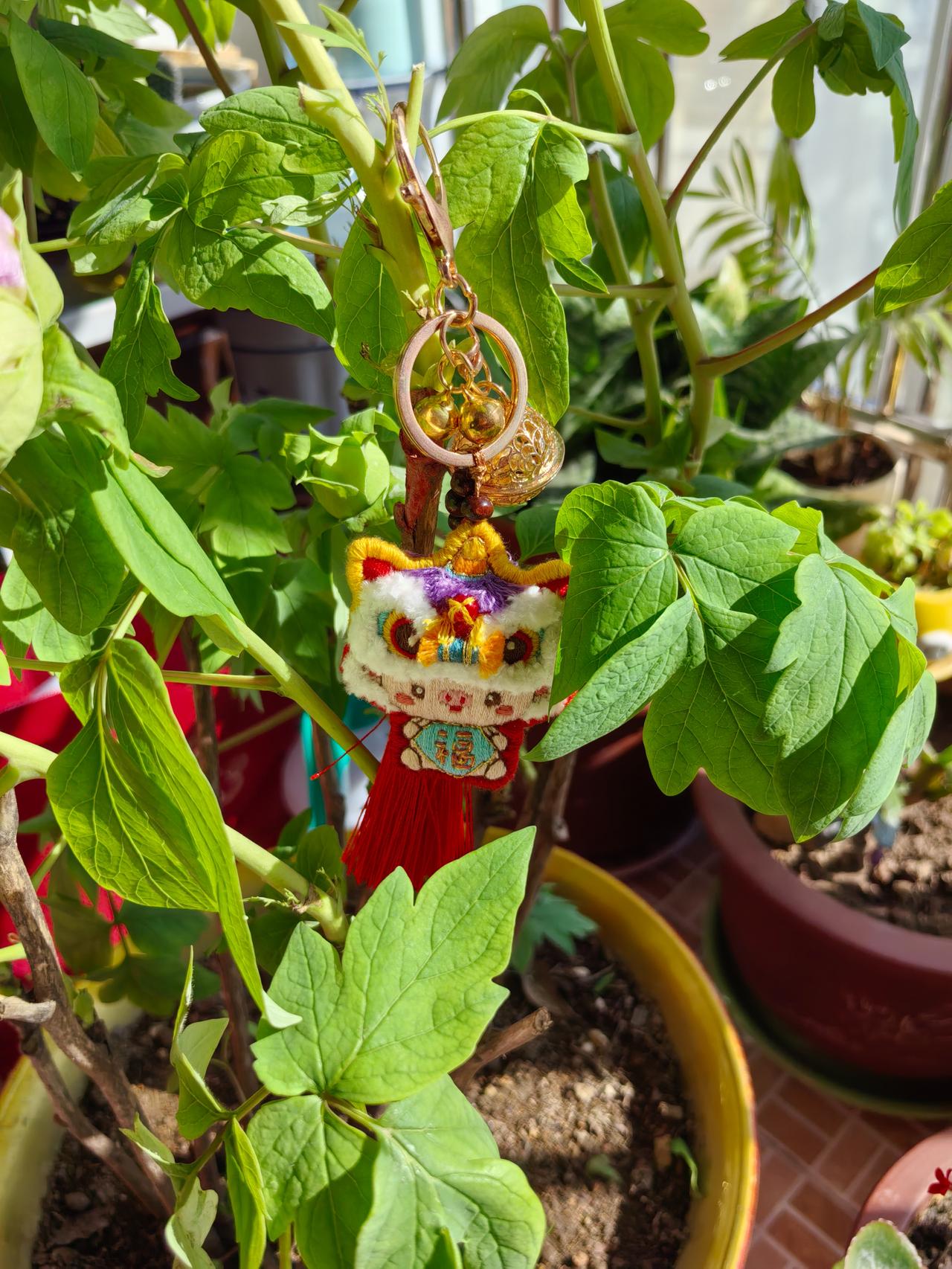 过年给孩子发红包这事，我嫂子的做法堪称经典和清醒。我嫂子家的儿子比我女儿大了