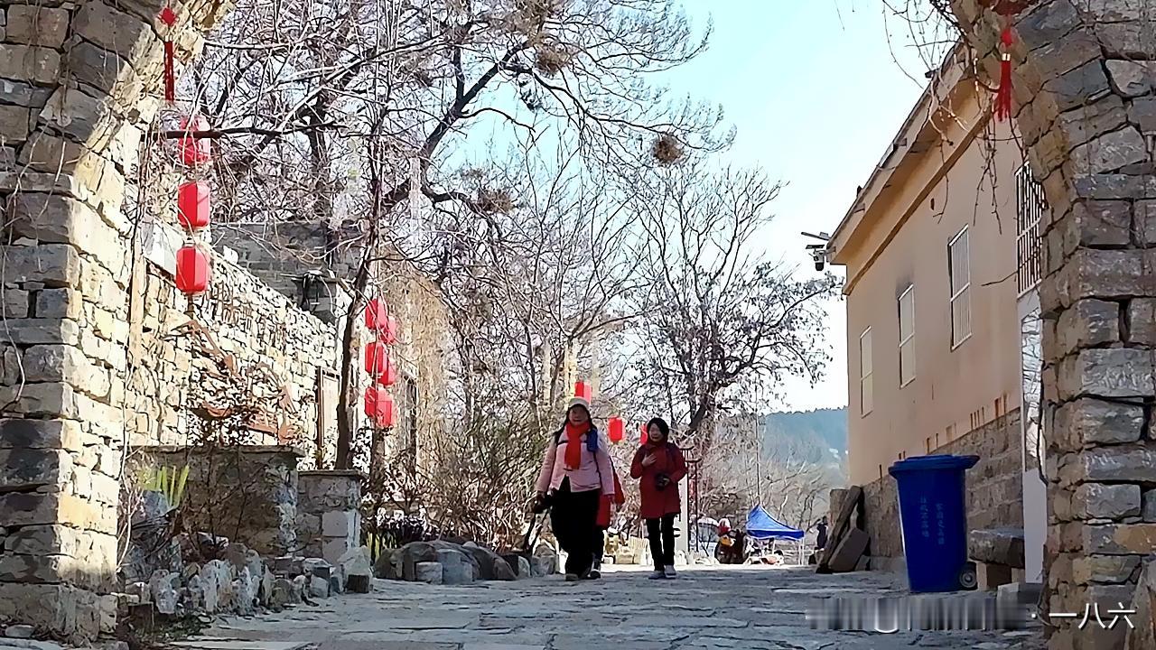 74岁老太为柴火杀人藏尸！3月案发11月开庭，空巢老人的孤独谁懂？真没想到