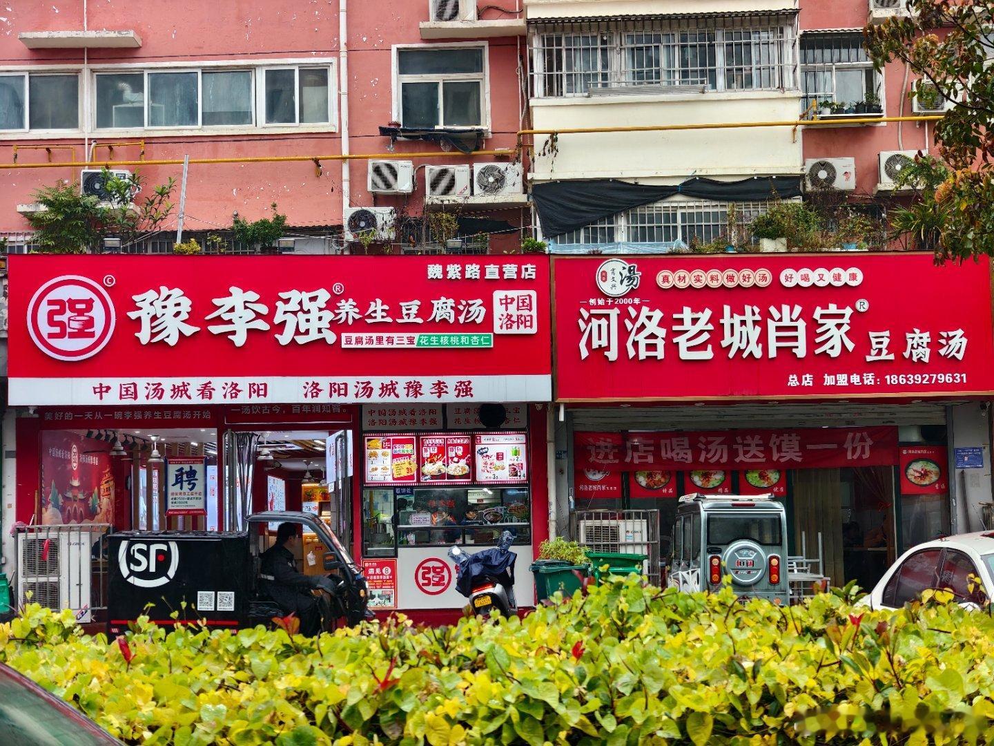 洛阳双汤记：李强豆腐汤和老肖家豆腐汤的温情与传承清晨的洛阳，总被一碗热乎的豆腐