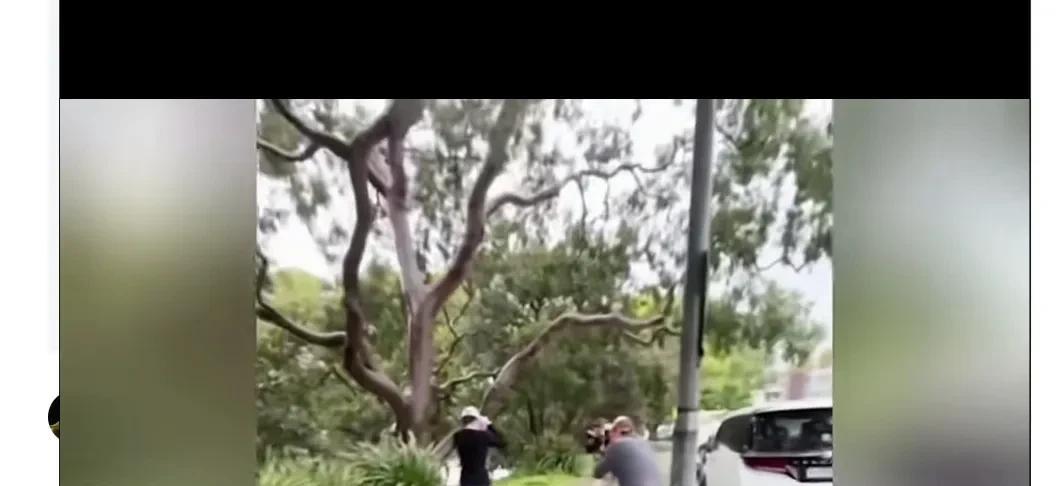 澳洲记者曝光了一组视频，他们想要在路上采访杨兰兰。面对澳洲记者的追问，神秘的东