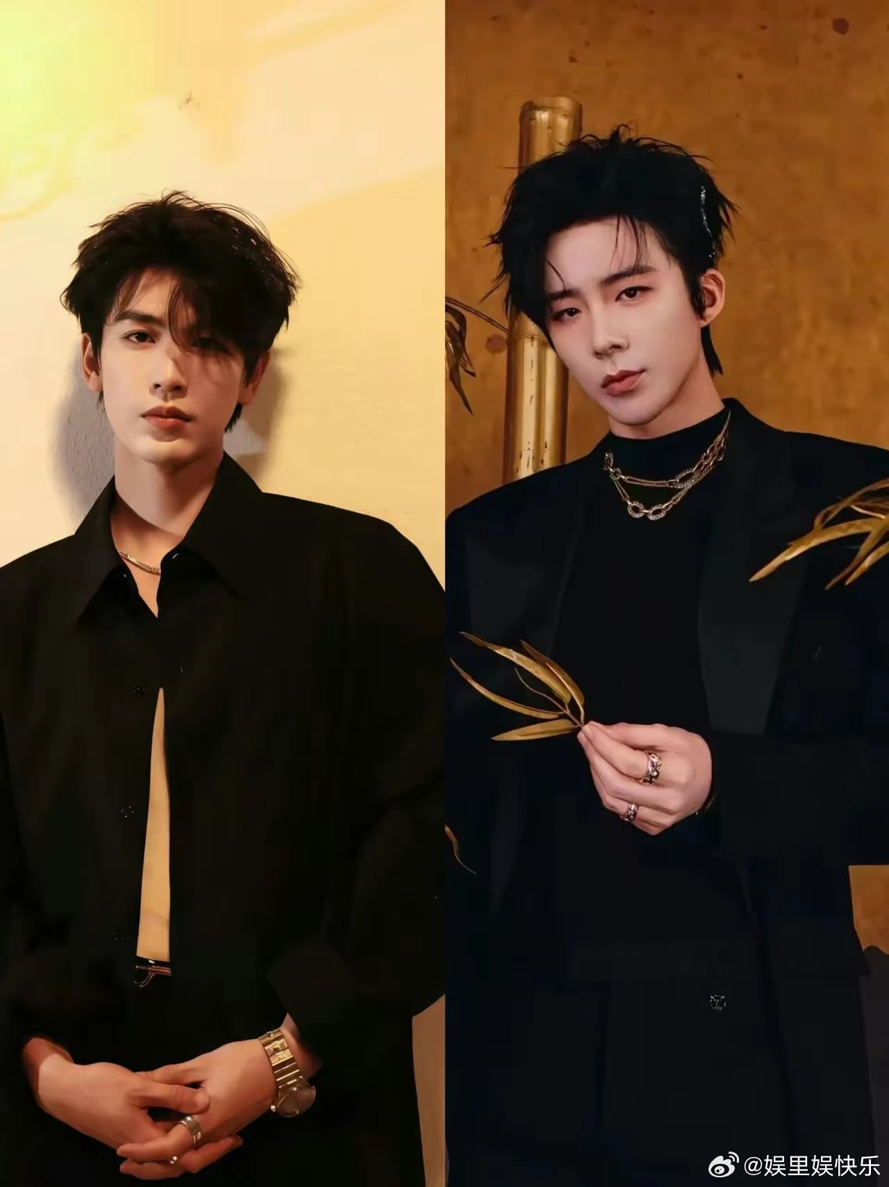 问所有女同胞一个问题，不许撒谎，左边张凌赫，身高190cm，体重70kg，家境殷