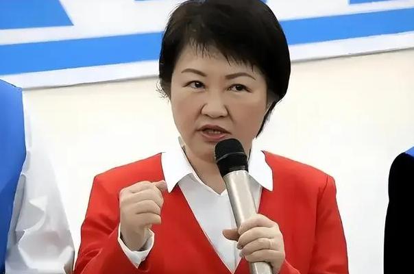 继侯友谊发表对沈伯洋被通缉后，卢秀燕也发表了自己意见：谴责任何形式暴力，绝不宽贷