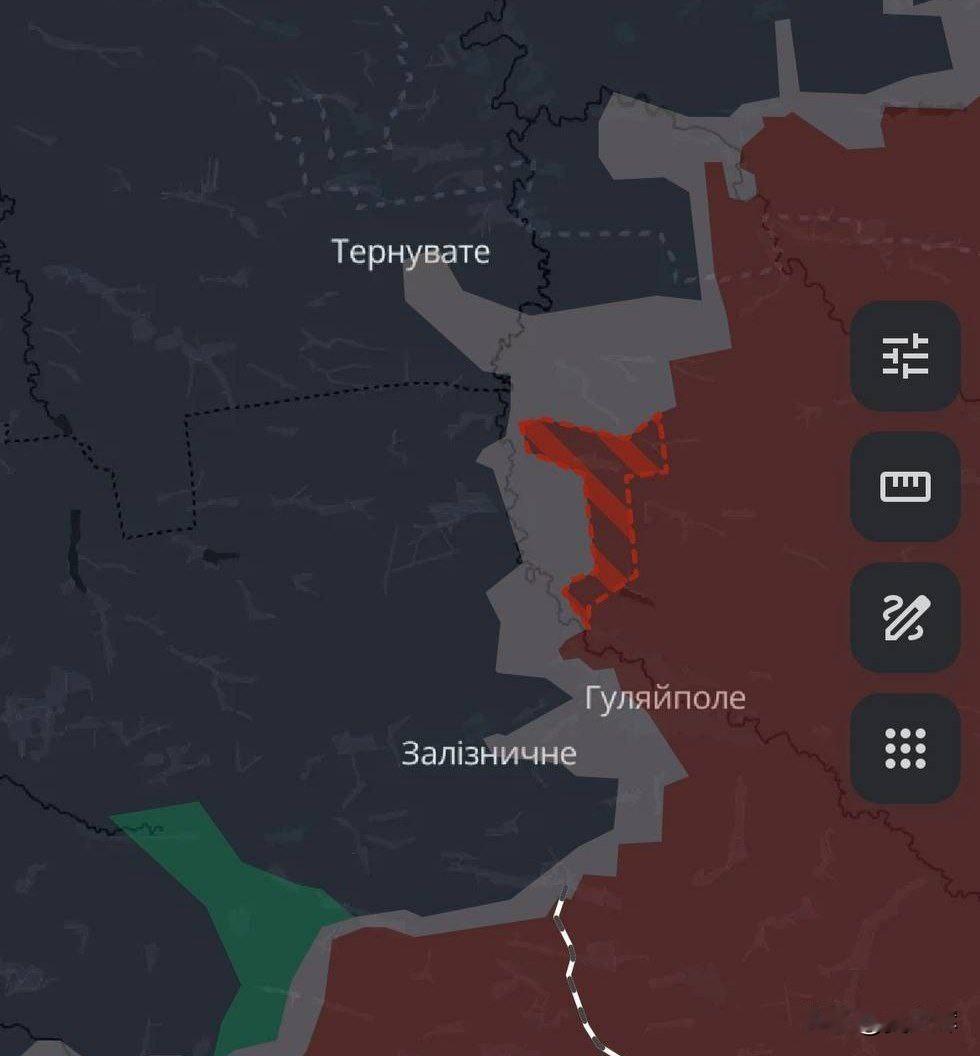 1月31日，乌克兰研究项目DeepState发布报告称，俄军在古利亚伊波列以北的