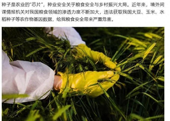 我们大中国的14亿人，靠什么吃饱穿暖？近日国家安全部门揭开的一个真相，让人看完心