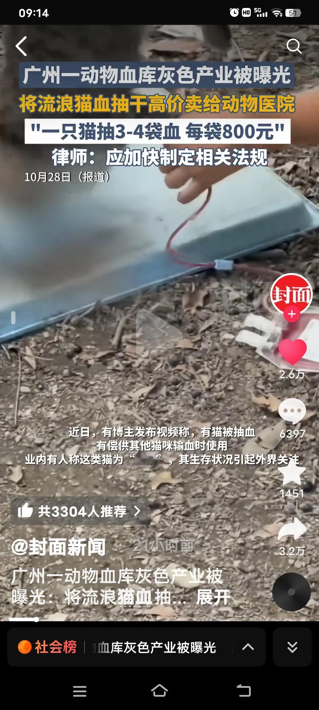 近日,一位博主发布视频,愤怒地揭露了广州动物血库存在的灰色产业链。有网友带着流浪