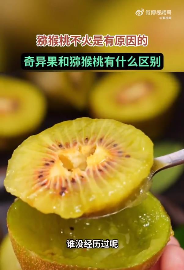 猕猴桃不火是有原因的猕猴桃长期被“酸涩易烂”的标签所误伤，实则是品质管控与消费认