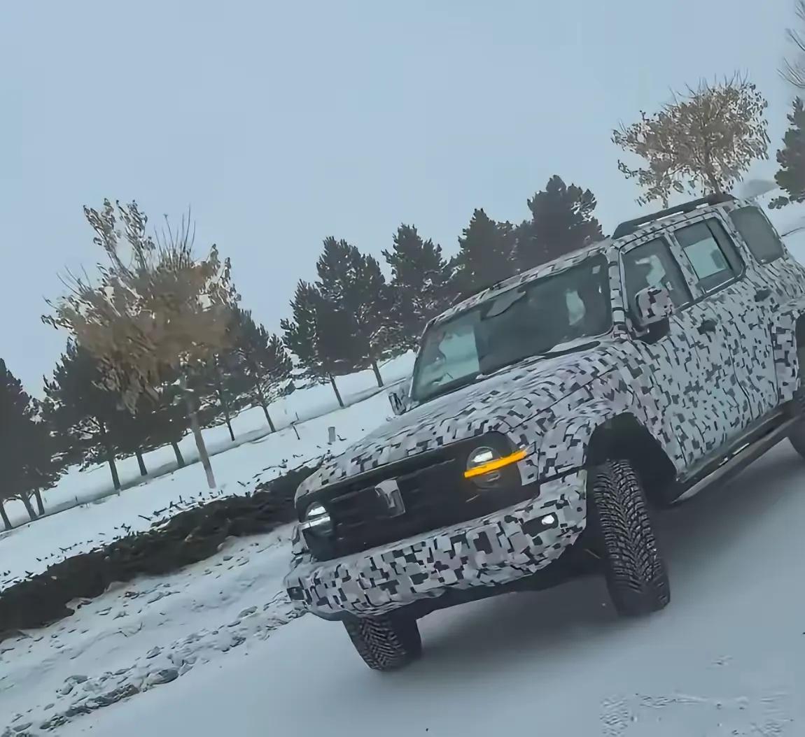 新款坦克300，到底会以什么身份出现？