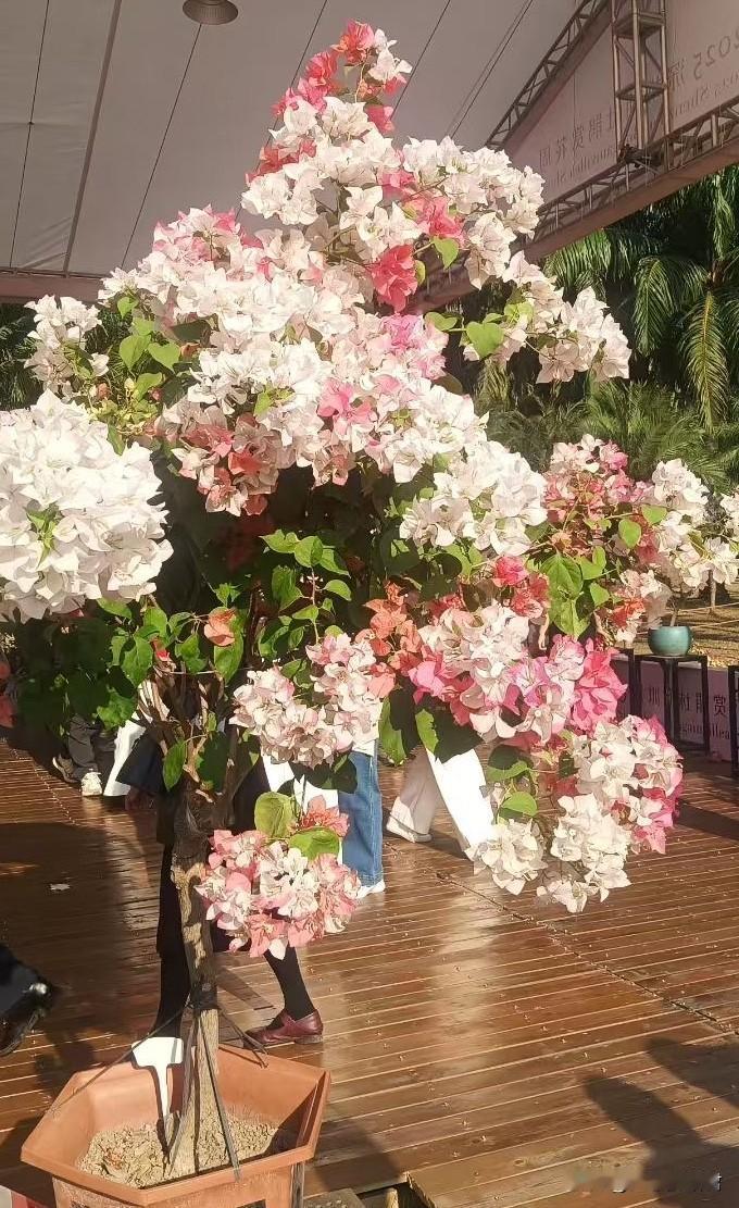 女人遇上老公不忠，一定不能让自己的情绪比能力大，情绪比能力大吃亏的就是自己了。一