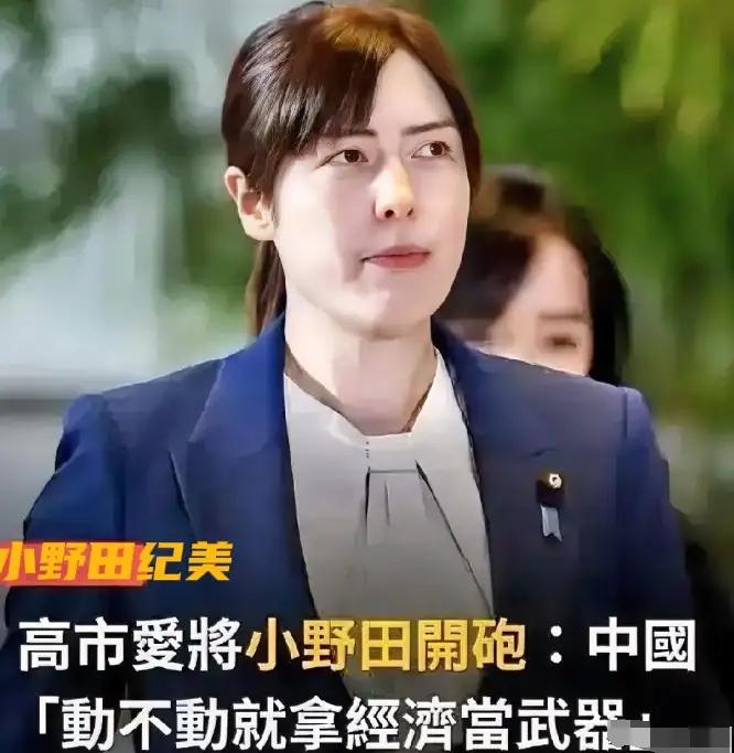 似乎她对我们用经济做武器很不开心。要不我们换个武器？[滑稽笑]小野田纪美还说如果