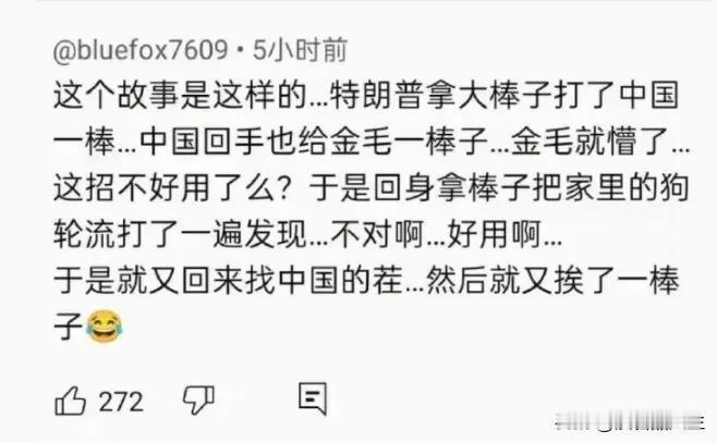 什么高人能写出这么神似的段子，太形象了！第一次的大棒子就是245%的关税，结