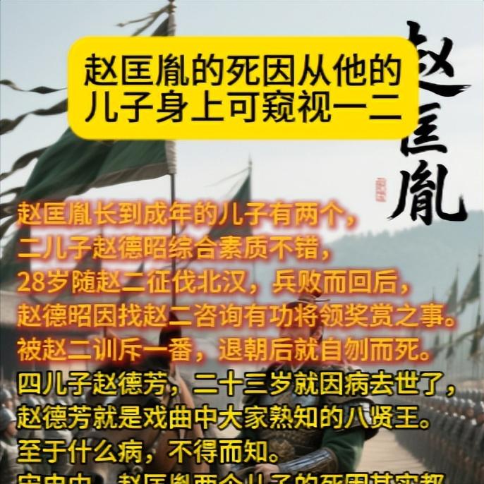 儿子身上可窥视一二赵匡胤长到成年的儿子有两个，二儿子赵德昭综合素质不错，2