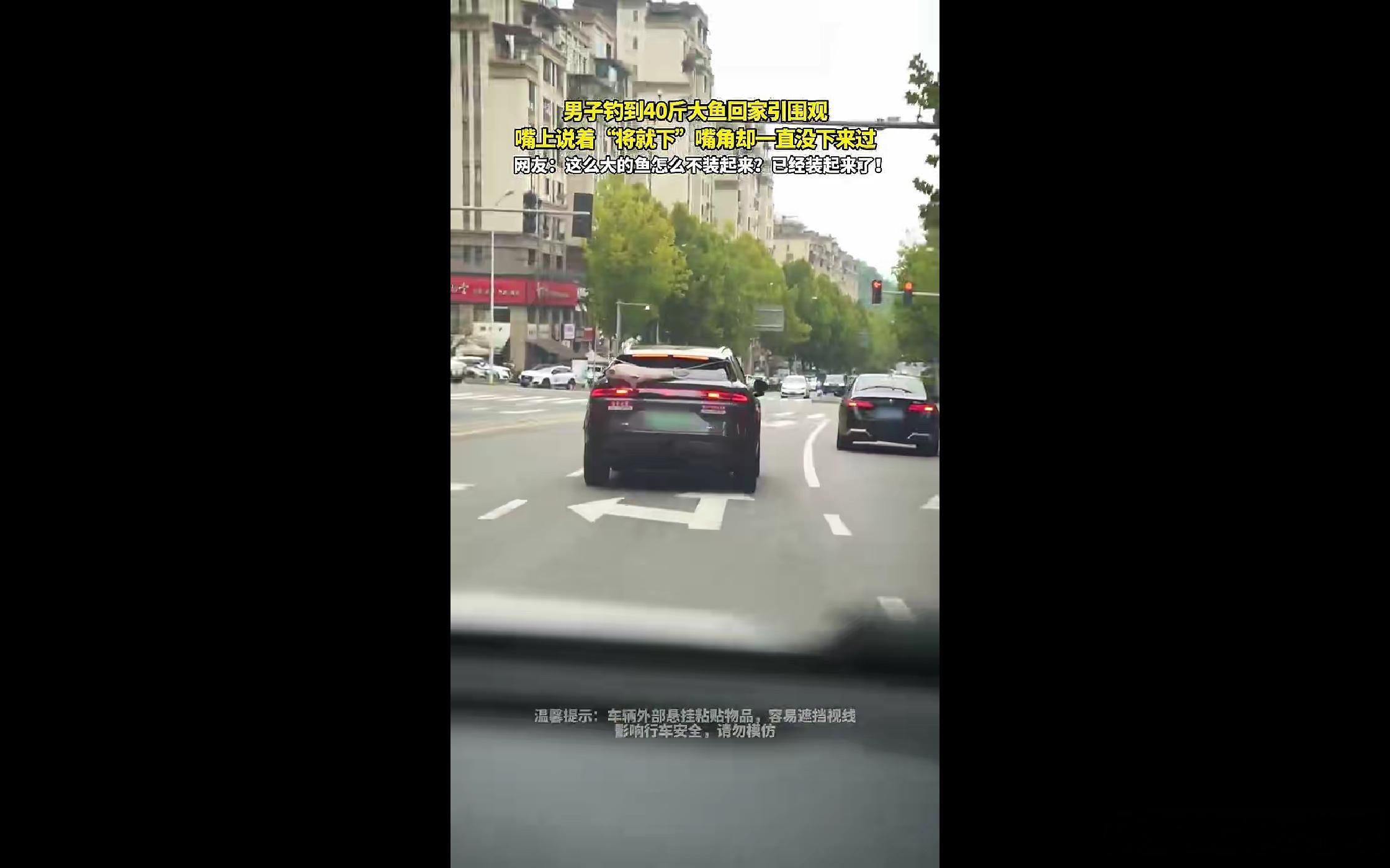 今天刷到重庆街头一段视频，直接给我看乐了😂一辆长安启源Q06慢悠悠开过，车尾居然挂着一条四十多斤的