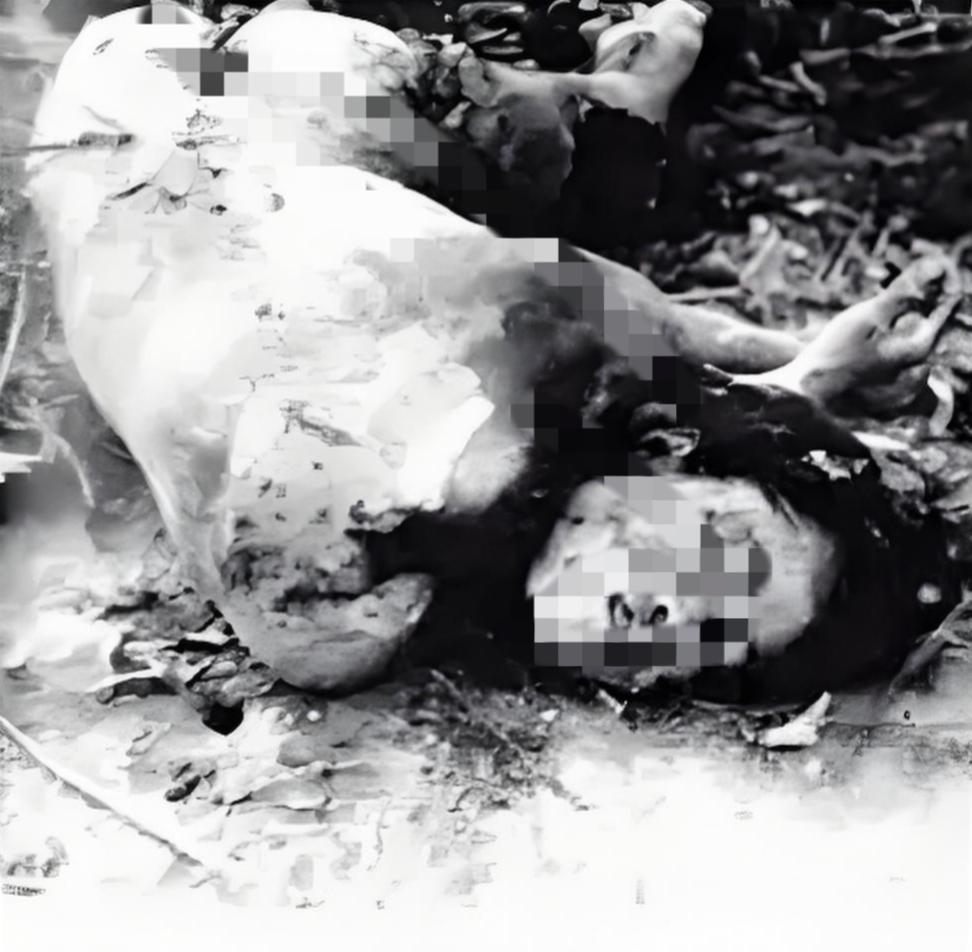 这是抗日女英雄刘耀梅被日军杀害后拍摄的照片，刘耀梅1921年出生于河北阜平，19