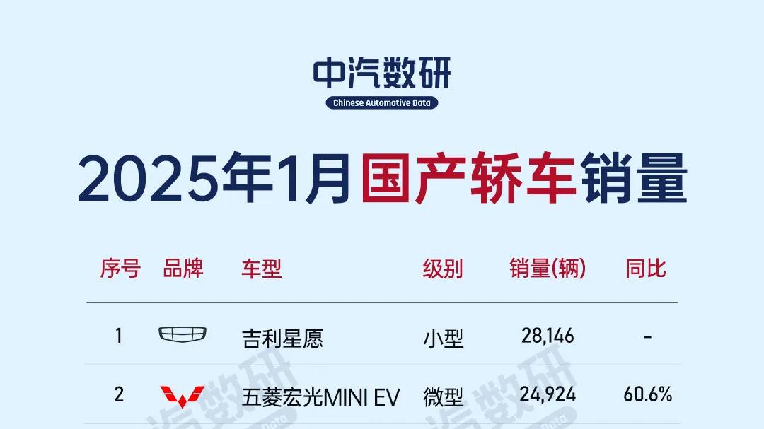 2025年1月国产汽车销量榜(轿车/SUV)